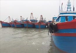 Từ 17 giờ ngày 26/9, Nghệ An cấm các loại tàu thuyền ra khơi 