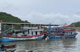 Ứng phó với bão Noru: Bình Định ưu tiên sơ tán người dân sống ven biển