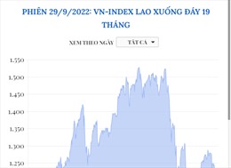 Phiên 29/9/2022: VN-Index lao xuống đáy 19 tháng