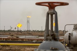 Iraq: Dự trữ ngoại hối cao nhất trong 75 năm nhờ giá dầu tăng