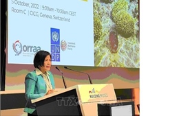 Việt Nam thúc đẩy ngoại giao môi trường, ngoại giao khí hậu phục vụ phát triển