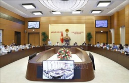 UBTV Quốc hội cho ý kiến về cơ chế đặc thù phát triển Hà Nội, TP Hồ Chí Minh 