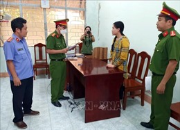 Bắt tạm giam Ninh Thị Vân Anh để điều tra tội lạm dụng tín nhiệm chiếm đoạt tài sản