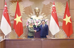 Chủ tịch Quốc hội Vương Đình Huệ hội kiến Tổng thống Singapore 