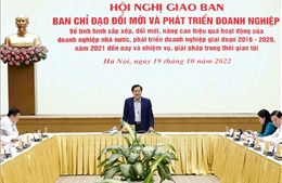 Phó Thủ tướng Lê Minh Khái: Gỡ vướng, đẩy nhanh tiến độ sắp xếp doanh nghiệp nhà nước