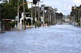 Australia cảnh báo mưa lũ tiếp diễn làm tăng nguy cơ lũ quét, ban bố lệnh sơ tán mới
