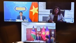 Hội đàm trực tuyến hai Thứ trưởng Ngoại giao Việt Nam - Namibia