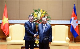 Chủ tịch Thượng viện Campuchia tiếp Chủ tịch kiêm Tổng Giám đốc Tập đoàn Viettel