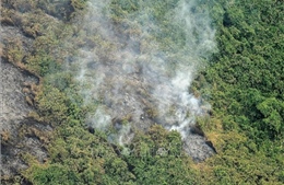 Colombia, Venezuela kêu gọi thành lập liên minh bảo vệ rừng Amazon