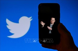 Tỷ phú Elon Musk khai tử dấu tích màu xám trên Twitter chỉ vài giờ sau khi ra mắt