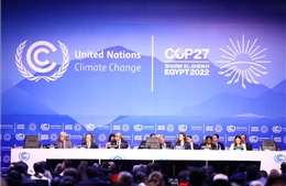 COP 27: Xây dựng khả năng phục hồi vì một châu Á an toàn, bền vững
