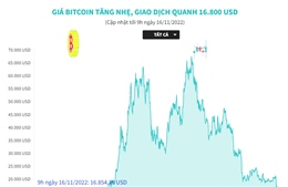 Giá Bitcoin tăng nhẹ, giao dịch quanh 16.800 USD
