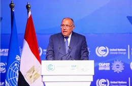 Ai Cập kêu gọi thực hiện cách tiếp cận toàn diện để giải quyết khủng bố