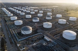 Lượng dầu thô dự trữ của Mỹ giảm 5,835 triệu thùng