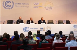 COP27: Thông qua thỏa thuận khí hậu tổng quát cuối cùng 