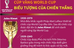 Cúp vàng World Cup - biểu tượng của chiến thắng