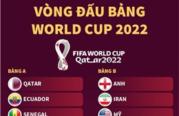 Vòng đấu bảng World Cup 2022