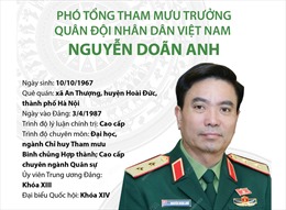 Phó Tổng Tham mưu trưởng Quân đội Nhân dân Việt Nam Nguyễn Doãn Anh