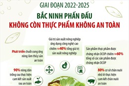 Bắc Ninh phấn đấu không còn thực phẩm không an toàn
