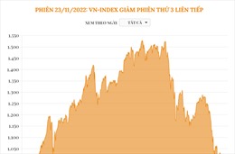 Phiên 23/11/2022: VN-Index giảm phiên thứ 3 liên tiếp