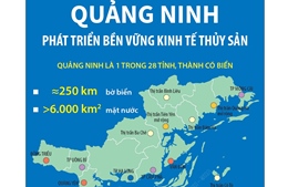 Quảng Ninh phát triển bền vững kinh tế thủy sản
