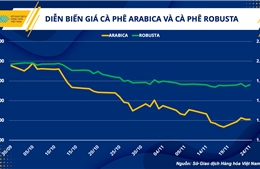 Kịch bản nào cho giá cà phê trong năm 2023?