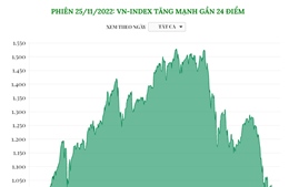 Phiên 25/11/2022: VN-Index tăng mạnh gần 24 điểm