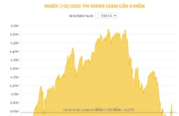 Phiên 7/12/2022: VN-Index giảm mạnh gần 45 điểm