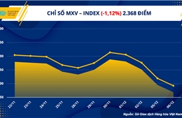 Dầu thô lao dốc xuống vùng giá thấp nhất trong năm 2022
