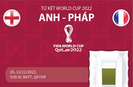 WORLD CUP 2022: Sư tử tiên tri dự đoán kết quả về trận Anh - Pháp