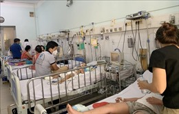 TP Hồ Chí Minh: Bệnh sốt xuất huyết giảm, tay chân miệng có dấu hiệu tăng