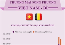 Quan hệ thương mại Việt Nam - Bỉ