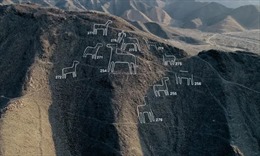 Phát hiện mới hơn 100 hình vẽ cổ đại tại đồng bằng Nazca ở Peru