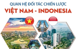 Quan hệ Đối tác chiến lược Việt Nam - Indonesia đạt nhiều tiến triển