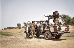 Mali tiêu diệt 167 phần tử khủng bố
