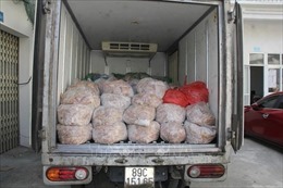 Thanh Hóa: Thu giữ 1,4 tấn bì lợn không rõ nguồn gốc