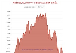 Phiên 29/12/2022: VN-Index giảm hơn 6 điểm