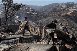 Ngân hàng CAF hỗ trợ Chile giảm thiểu thiệt hại do cháy rừng