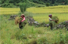 Đòn bẩy phát triển trung du, miền núi Bắc Bộ - Bài 3: Xóa &#39;vùng lõi nghèo&#39; của cả nước