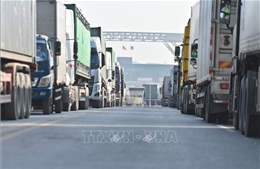 Gần 4.000 tấn hàng hóa xuất nhập khẩu qua cửa khẩu Quốc tế Móng Cái trong hai ngày đầu năm
