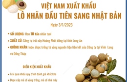 Việt Nam xuất khẩu lô nhãn đầu tiên sang Nhật Bản