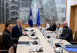 NATO và EU phối hợp bảo vệ cơ sở hạ tầng quan trọng