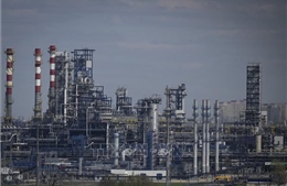 Mỹ: Doanh thu từ dầu mỏ của Nga giảm do biện pháp áp giá trần