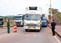 Sau nghỉ Tết, Quảng Ninh có 120 xe hàng xuất nhập khẩu qua Móng Cái