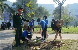 Tuổi trẻ Đà Nẵng hăng hái tham gia Tết trồng cây