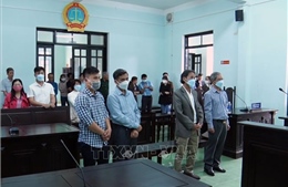 Xử phạt hai cựu lãnh đạo UBND huyện Đăk Hà (Kon Tum) về vi phạm trong quản lý đất đai