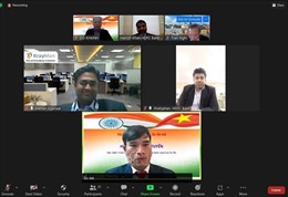 Hội thảo hướng dẫn doanh nghiệp Việt Nam mở văn phòng tại Ấn Độ