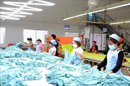 Năm 2023, Tuyên Quang phấn đấu giải quyết việc làm mới cho 22.000 lao động 