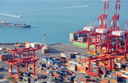 Xuất khẩu của Ai Cập sang Hàn Quốc tăng kỷ lục trong năm 2022
