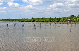 Gỡ khó để &#39;biển hồ&#39; Đầm Thị Tường phát triển tương xứng với tiềm năng